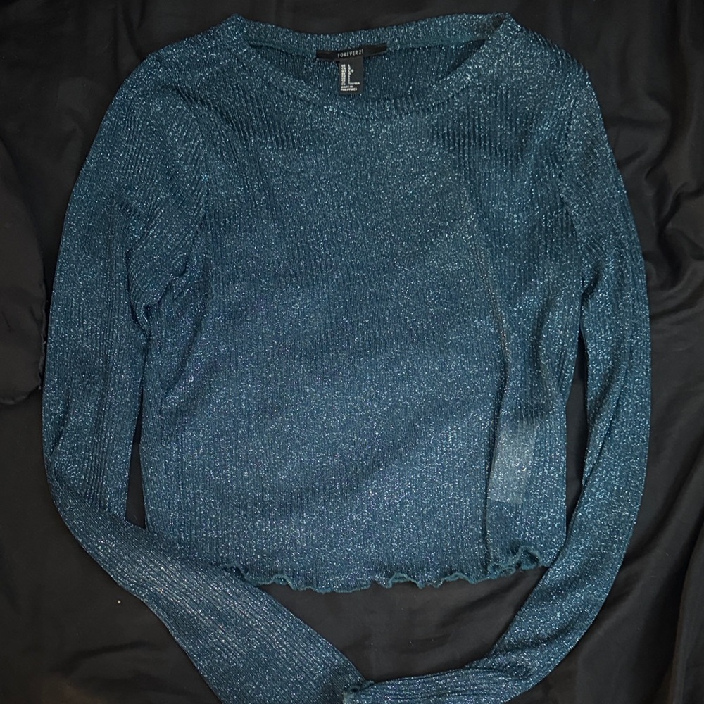 Sheer Shimmering Blue Long Sleeve Top